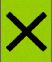 Live Collections &raquo; Gingers &raquo; Parakaempferia